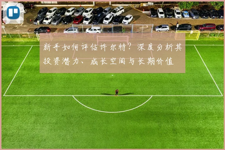 新手如何评估许尔特？深度分析其投资潜力、成长空间与长期价值