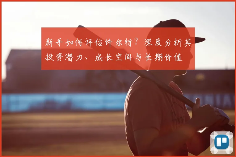 新手如何评估许尔特？深度分析其投资潜力、成长空间与长期价值